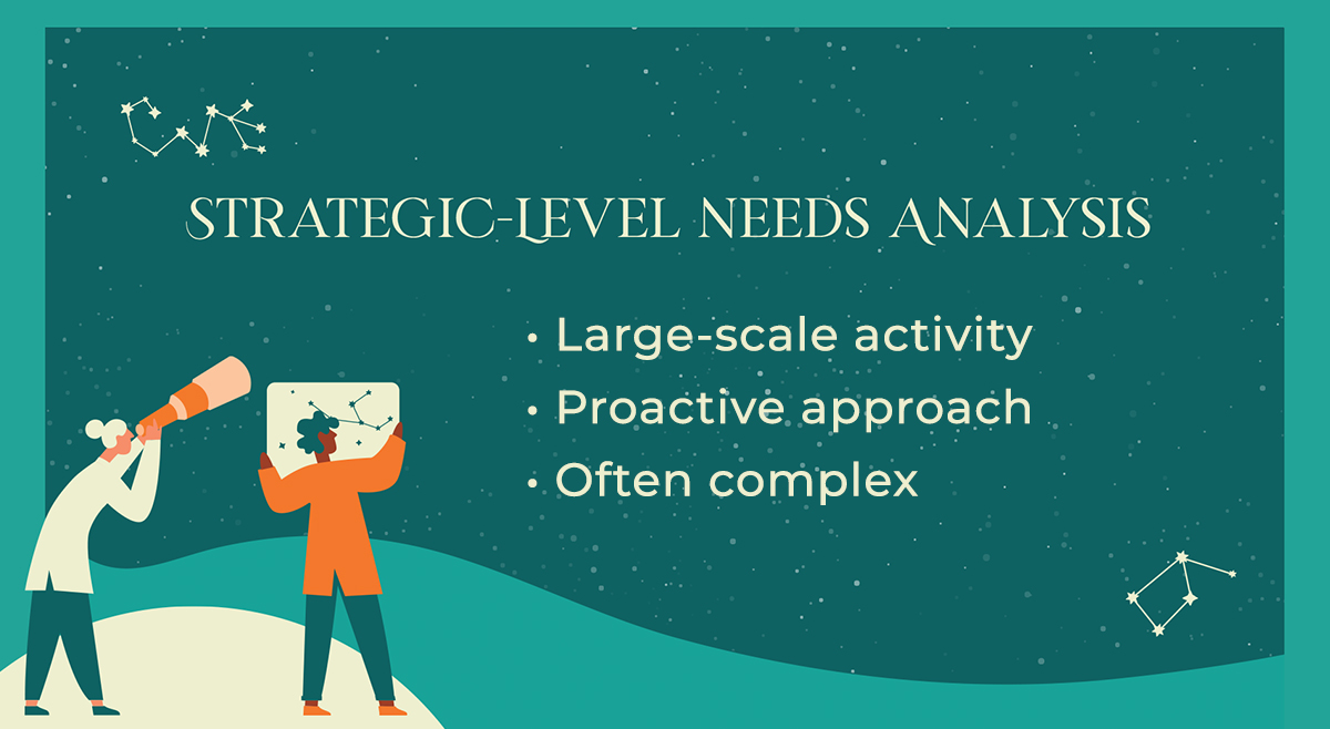 Strategic Level Needs Analysis