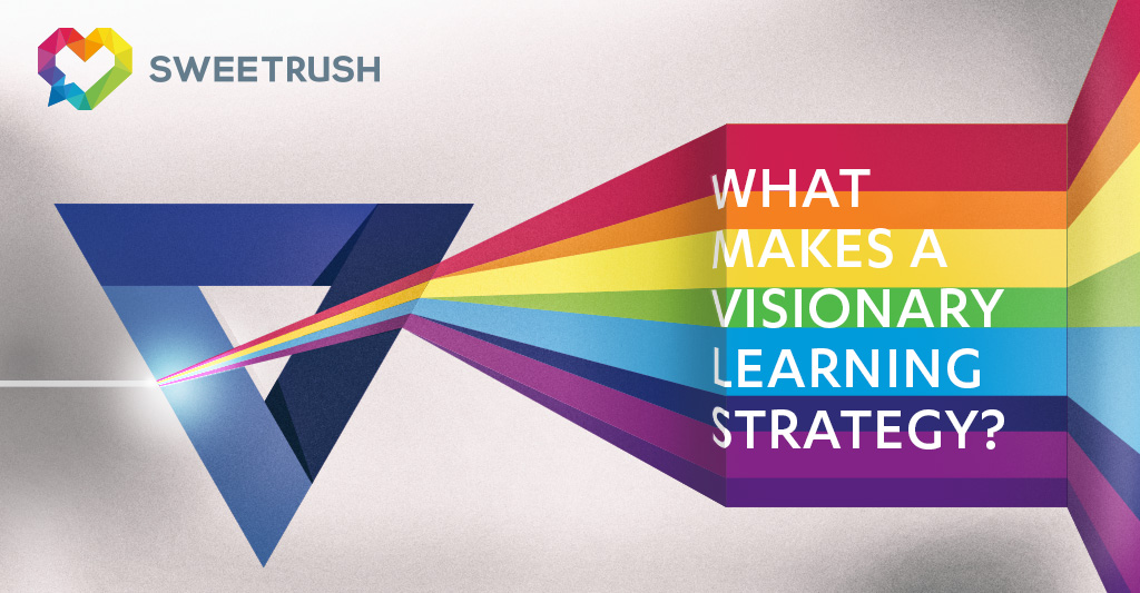 Visionary Learning Strategy