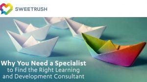 learning and development consultant