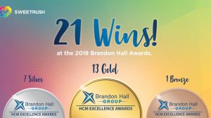 2018_Brandon_Hall-Excellence_Awards