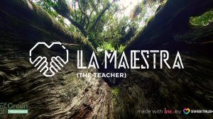 La Maestra - Costa Rica Reforestation Project made with love by SweetRush