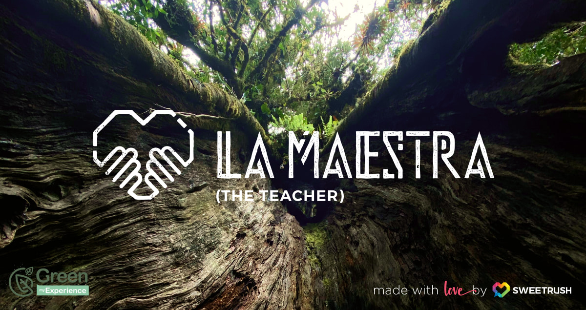 La Maestra - Costa Rica Reforestation Project made with love by SweetRush